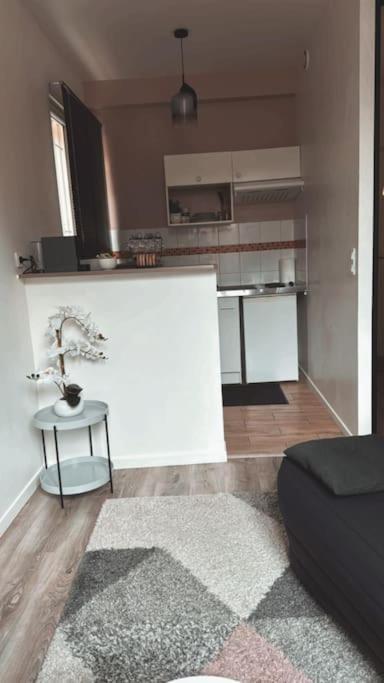 Beautiful F2 Apartment 5 Stops By Train From Paris Море-сюр-Луан Экстерьер фото